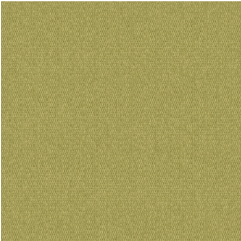 Solid Pesto