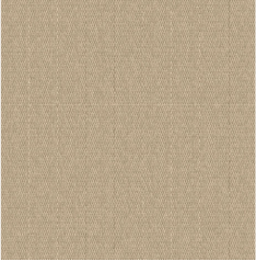Solid Stucco