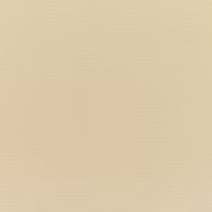 Canvas Antique Beige