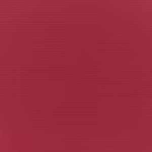 Canvas Burgundy