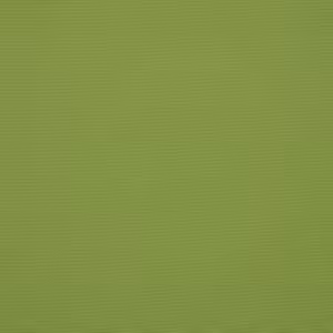 Canvas Ginkgo