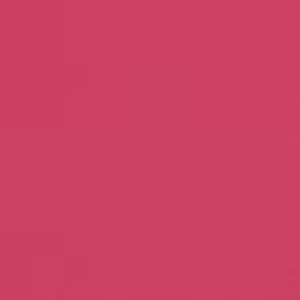 Canvas Hot Pink