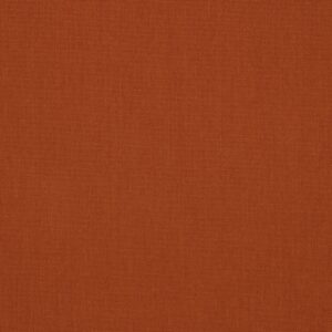 Canvas Rust