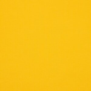 Canvas Sunflower