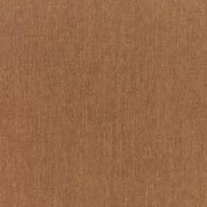 Canvas Teak