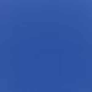 Canvas True Blue
