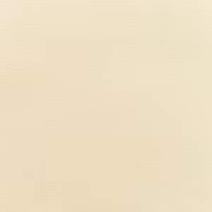 Canvas Vellum