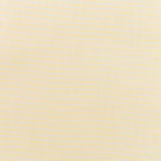 Canvas Vellum