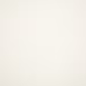 Canvas White